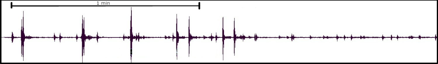 The energy shown here is from multiple artillery shots fired during training at Camp Pendleton in Southern California. What makes these waveforms interesting is that there are so many distinct impulsive signals clustered in time with a very slow move-out, which can be seen in the expanded view. Move-out is a term used to describe the amount of time it takes for the waves to go from one station to the next and can be converted into the actual speed of the waves, in this case the sonic waves produced by the shots fired traveled at 235m/s. Normally the speed of a sonic boom is the speed of sound, which is 343m/s in dry air at 20°c, but due to real-world atmospheric conditions the value is lower. Click on the isolated waveform for more information and the noise advisory released by Camp Pendleton.