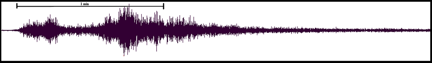 The energy shown here is from a SpaceX rocket launch located within the SCSN boundaries. Because Southern California is home to Vandenburg Air Force Base (near Santa Maria), we occasionally detect the take-off of rockets set to go into space. The most notable feature of these launches in our data is that it lacks distinct seismic phases, and differs in both the duration of the energy signal and the speed at which it reaches different sensors in our network. This launch waveform is from the Sept. 13, 2021 SpaceX mission of sending 51 Starlink satellites into orbit.
